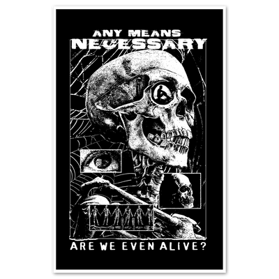 Are We Even Alive Print