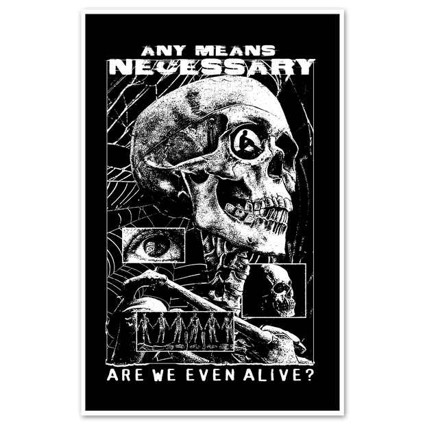 Are We Even Alive Print