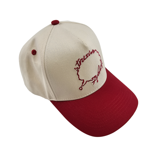 Intrusive Thoughts Hat Cardinal