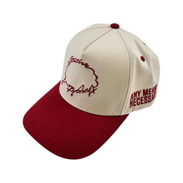 Intrusive Thoughts Hat Cardinal