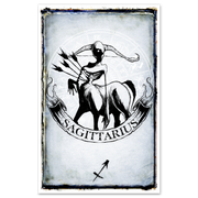 Shawn Coss Zodiac Prints