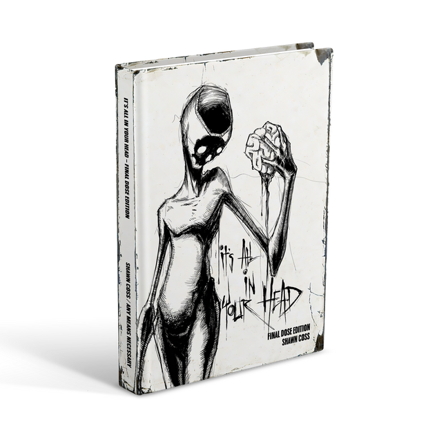 Vol 3 - It's All In Your Head Art Book